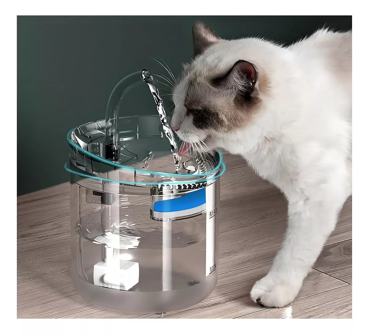 Dispensador de Agua Automático para Mascotas
